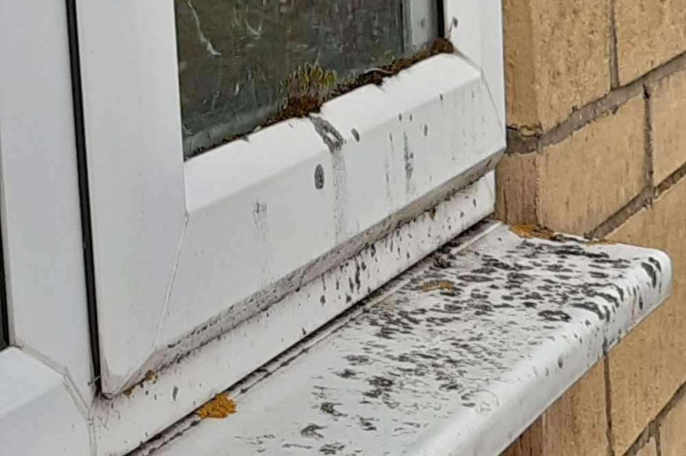 professional window cleaning services in swindon