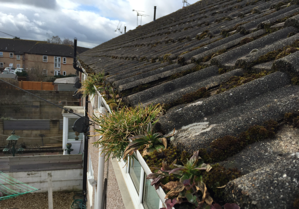 gutter cleaning swindon 5